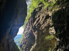 -牛背梁国家森林公园