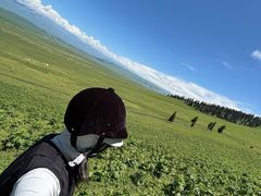 -新疆那拉提国家旅游度假区