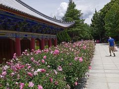 -大理洱海
