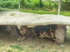 -北京野生动物园