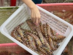 -老字号蛇口德记烧腊饭店·海鲜加工