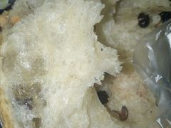 红豆Q果-鲍师傅糕点(观前街店)