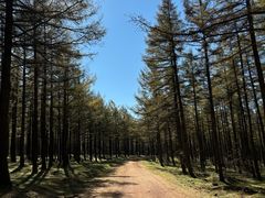 -塞罕坝国家级自然保护区