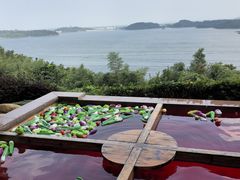 -天目湖涵田半山温泉