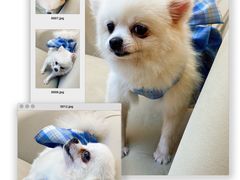 -怪兽屋·羊驼·猫咖·狗咖(俊华广场店)