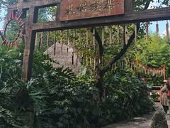 -云南民族村