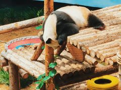 -大连森林动物园