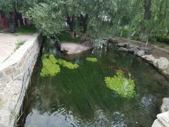 -水磨沟公园