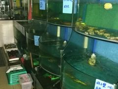水产区-秦臻海鲜农家乐(奉贤店)