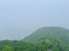 -杭州半山国家森林公园