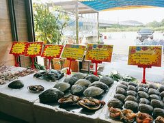 -蚝专家(北滘店)