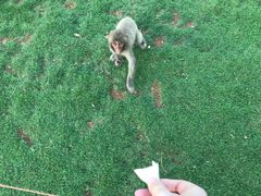 -海南热带野生动植物园