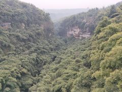 -川西竹海景区