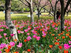 -白塘生态植物园