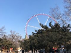 -哈尔滨文化公园