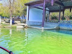 -八大山人梅湖景区