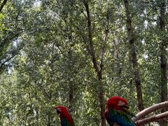 -北京野生动物园