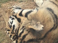 -威海华夏城景区