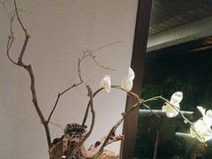 -花锦堂·隐庐
