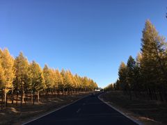 -塞罕坝国家级自然保护区