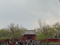 -百脉泉景区