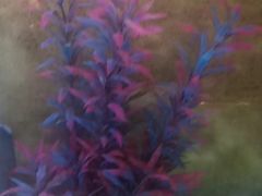 -德全心悦酒店(北京金台路地铁站店)