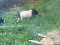 -大连森林动物园