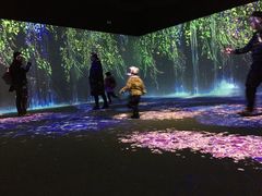 -黄龙溪欢乐田园