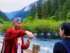 -九寨沟-树正沟