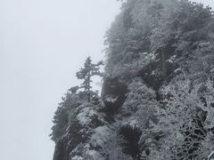 -秦岭天竺山景区