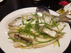-皇城中餐厅·潮菜传承·私享宴客