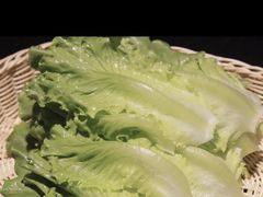 生菜-红菇坊鲜汤火锅(北站店)