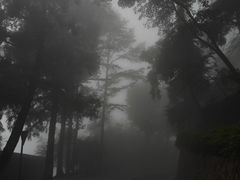 -莫干山风景区