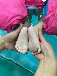 -鱼乐贝贝婴幼儿水育馆(高桥红坊店)
