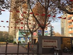 -西北大学(桃园校区)