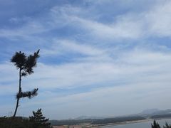 -摩天岭风景区