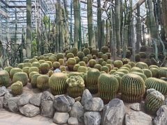 -南山植物园