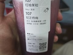-昆明动物园