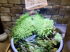 -鸢飞潍坊菜馆(鸢飞大酒店)