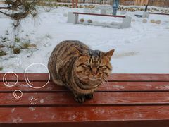 -终南山南五台景区