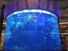 -OPEN開全日自助餐厅·牛肉火锅·海鲜(佛山希尔顿酒店)