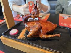 -羽鸽集·乳鸽专门店·地道顺德菜(岭南站店)