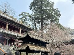 -潭柘寺景区