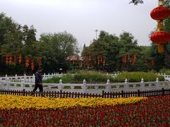 -丰台花园