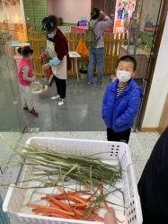 -Moni星球萌宠·小马宝莉·灵蛇·高端高阶全萌宠互动体验俱乐部(红豆国际广场店)