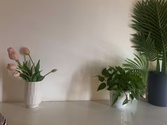 -川耳坊专业采耳馆