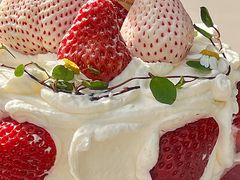 -卷心卷意·轻甜蛋糕(新光天地店)