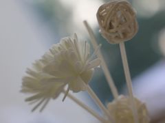 -艾通康缘艾灸.疼痛.睡眠养生馆(凤凰城店)
