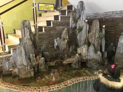 假山鱼塘-醉湘厨艺(才华街店)