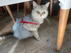 -小时光咖啡馆(北锣鼓巷店)
